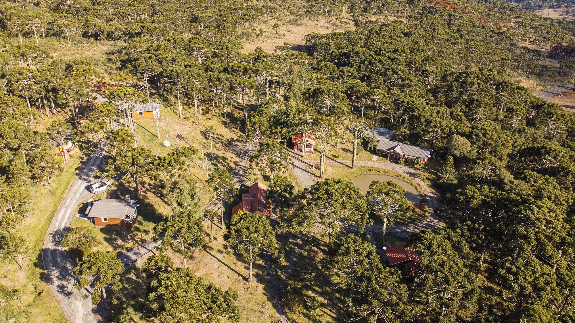An aerial view of a residential area with multiple houses, a paved road, and a small pond.