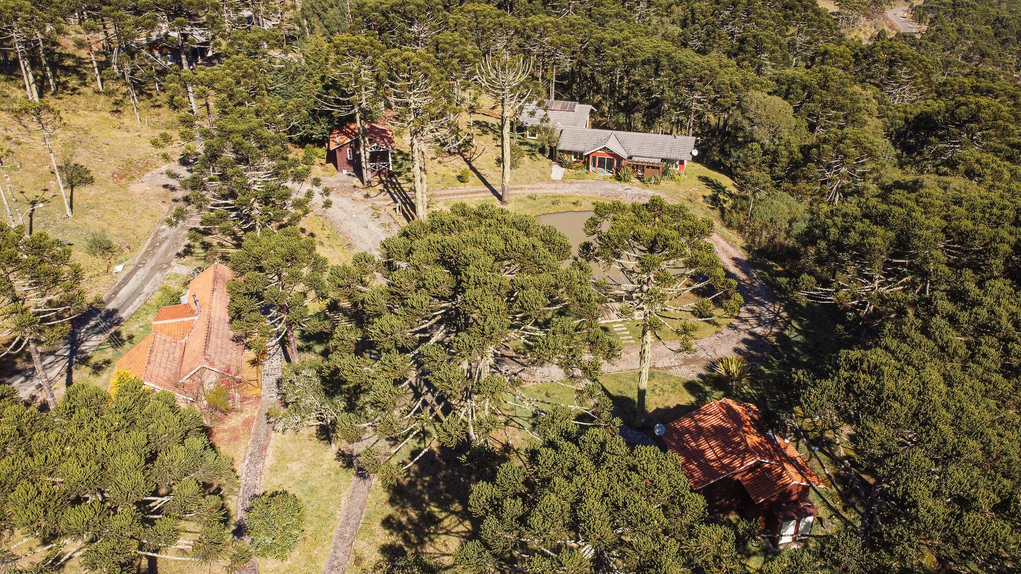 An aerial view of a residential area with multiple houses surrounded by dense forest.