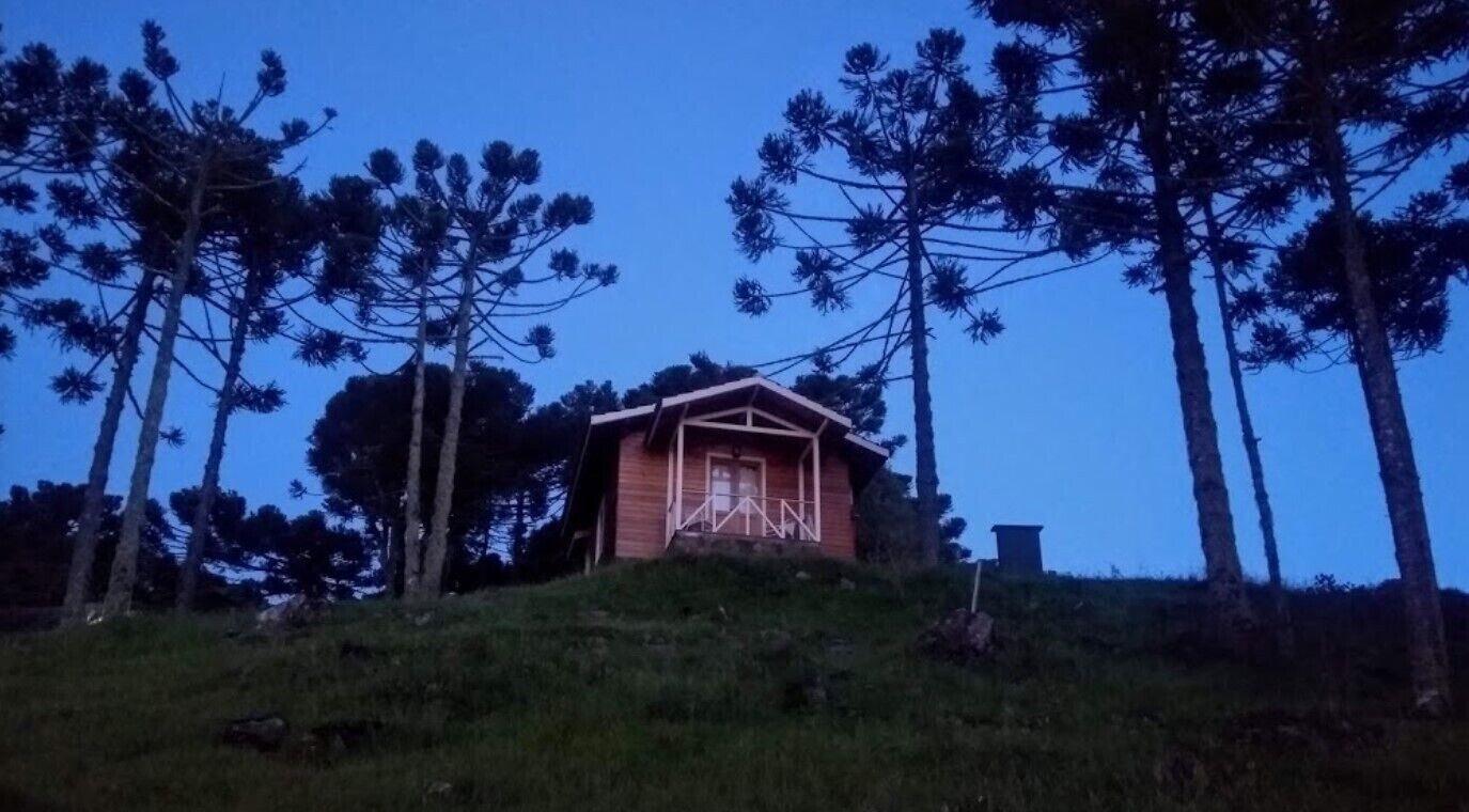 Eine kleine Holzhütte mit geneigtem Dach, umgeben von hohen Kiefern.