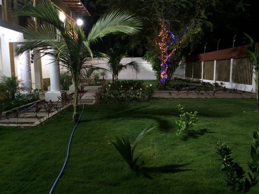 A well-maintained garden with a lawn, palm trees, and a decorative tree with colorful lights.