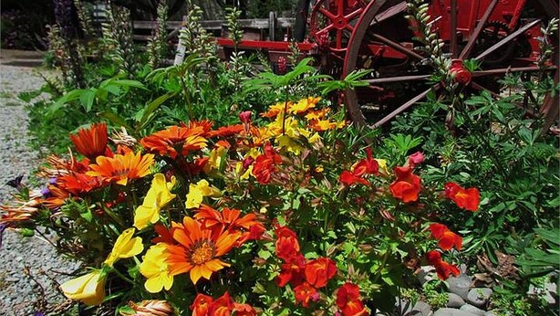 Um jardim com flores coloridas e um carrinho vermelho.