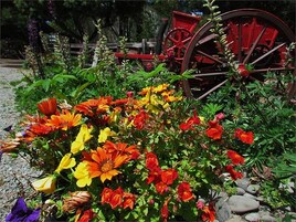 Jardín