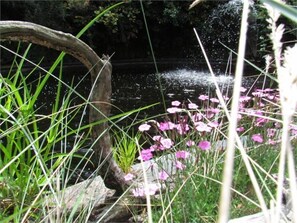 Garden - Christchurch City & Country Cottages - Nut Point Cottage (West Melton)