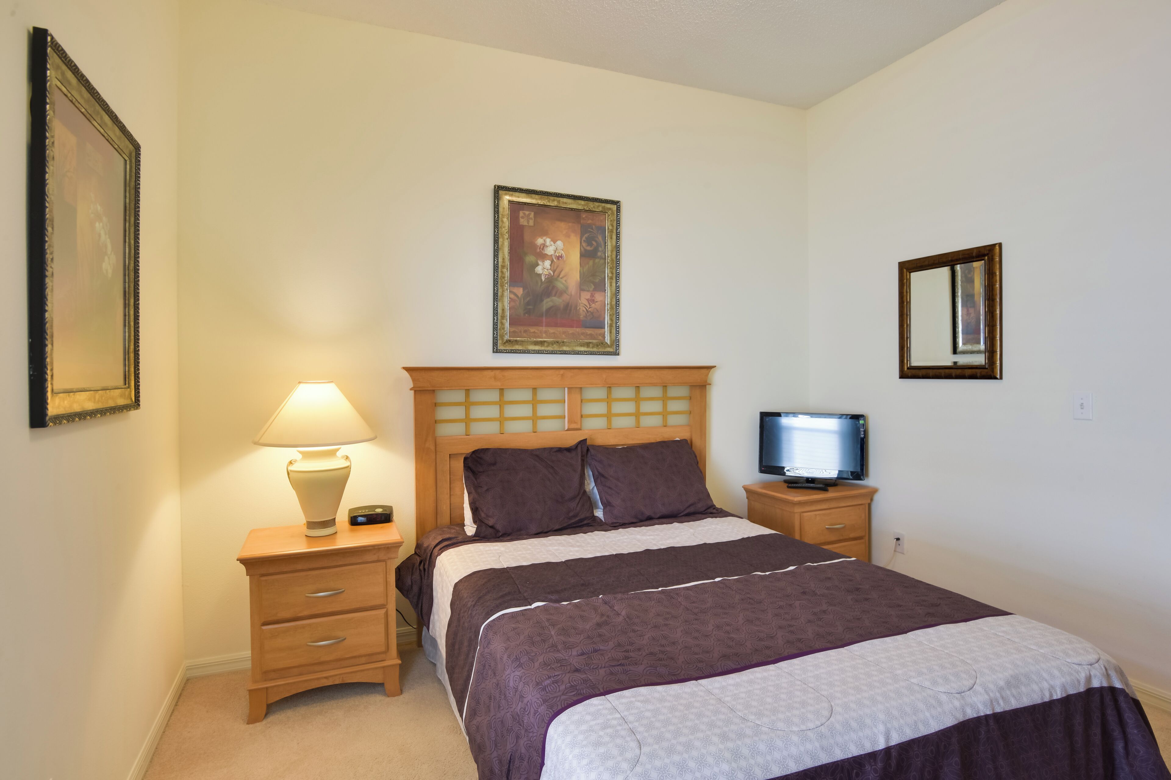 Quarto de hotel com uma cama, mesa de cabeceira com abajur, televisão e um quadro na parede.