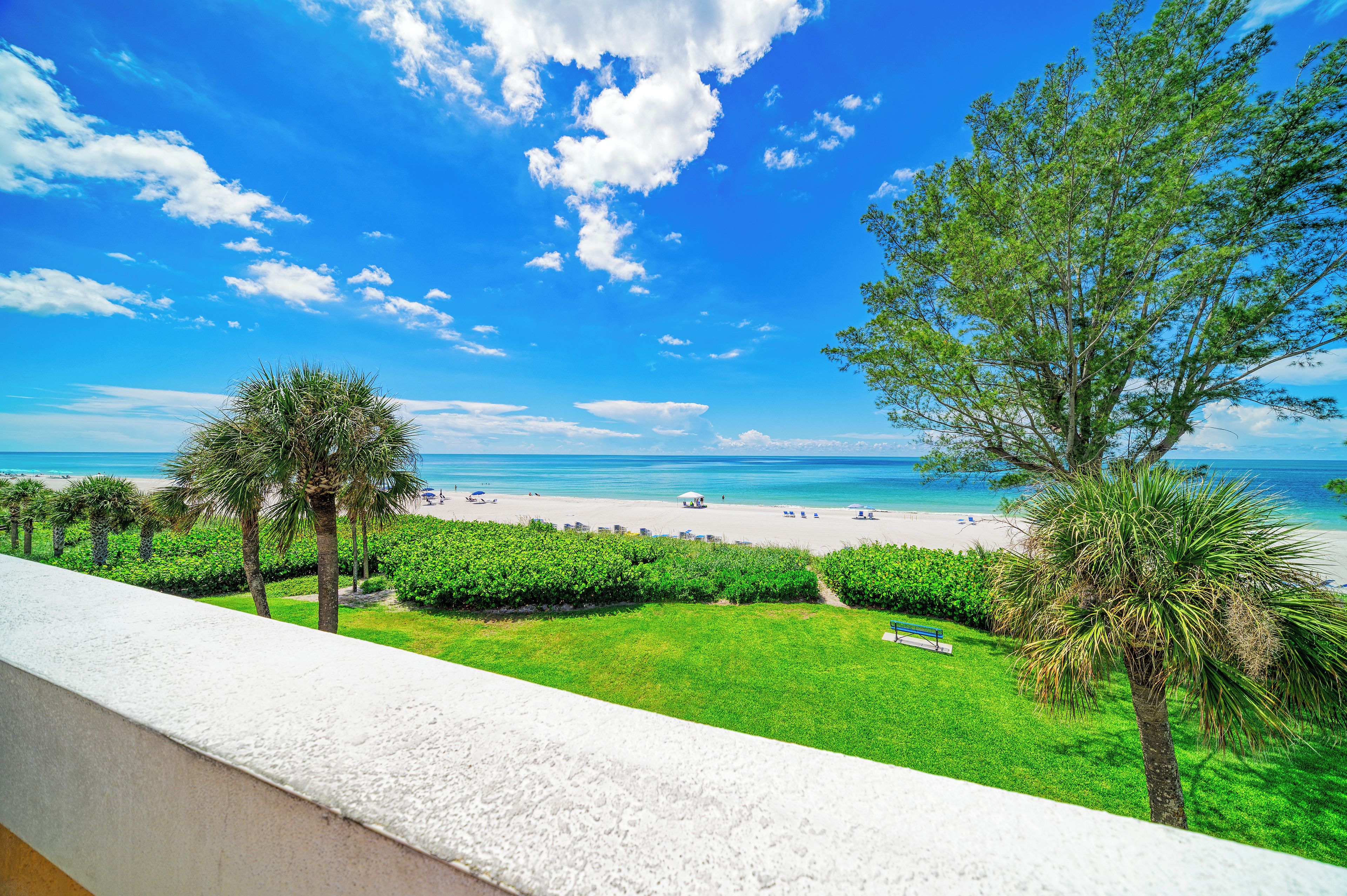 A balcony with a view of a beach, palm trees, and a clear sky.