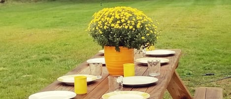 Ein Holztisch für ein Picknick im Freien, mit Tellern, Gläsern und einer gelben Blumenkomposition.