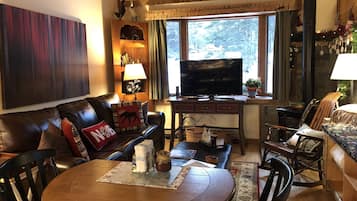 Smart TV, fireplace, DVD player, stereo