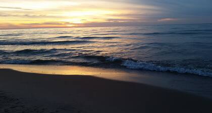 Blueberry Cotg, Saugatuck. Walk downtown. Clean, crisp, colorful, convenient.