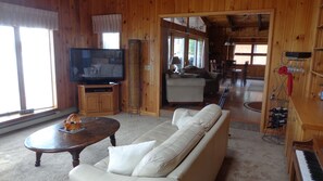 TV, fireplace, DVD player, books