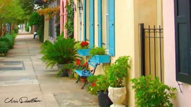 Une rue étroite bordée d’immeubles dotés de balcons ornés de plantes en pot et de volets bleus.