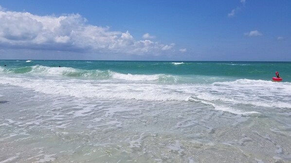 Unclassified image, 1 of 36, button