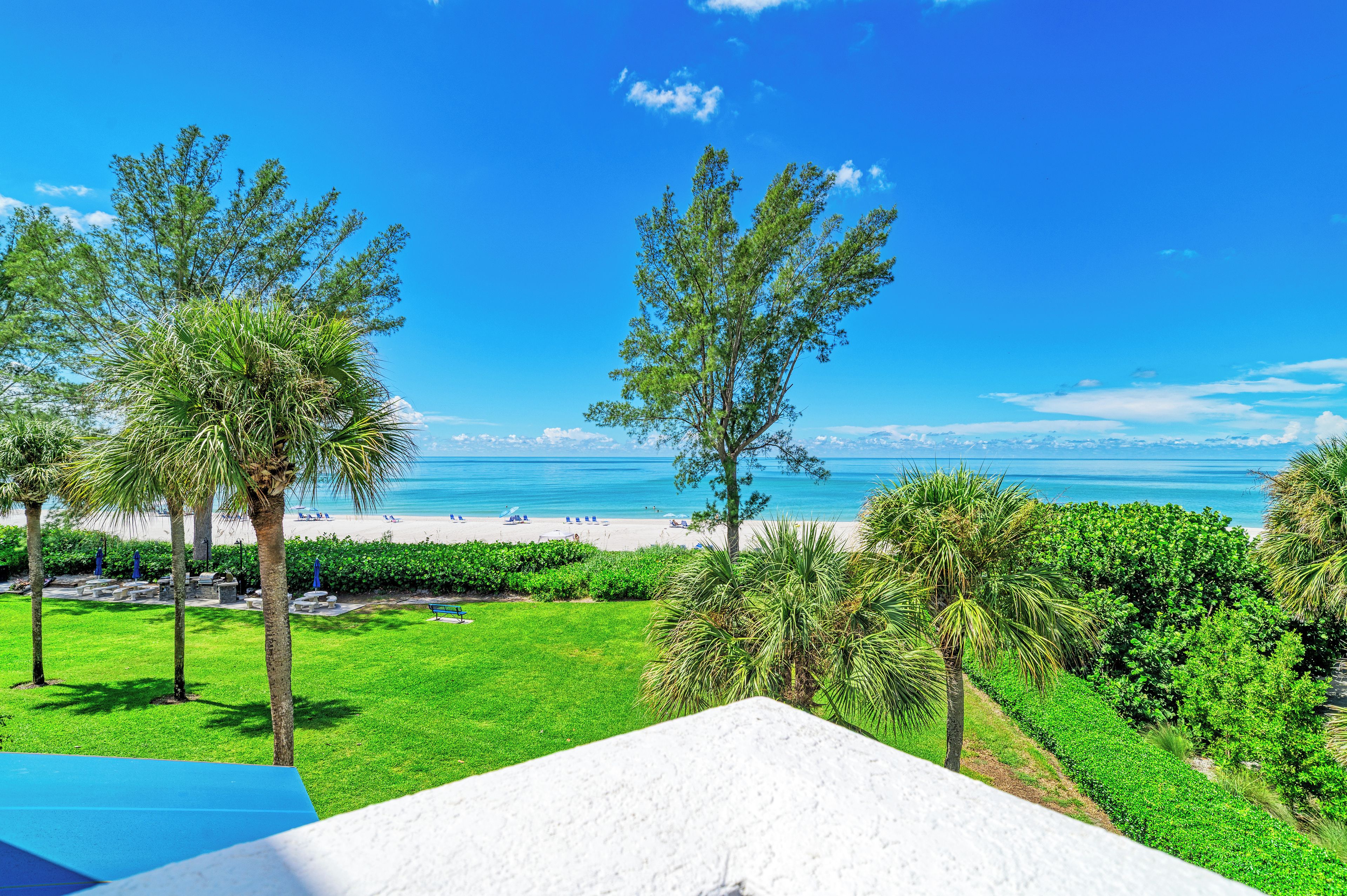 A beach view with palm trees and a clear sky.