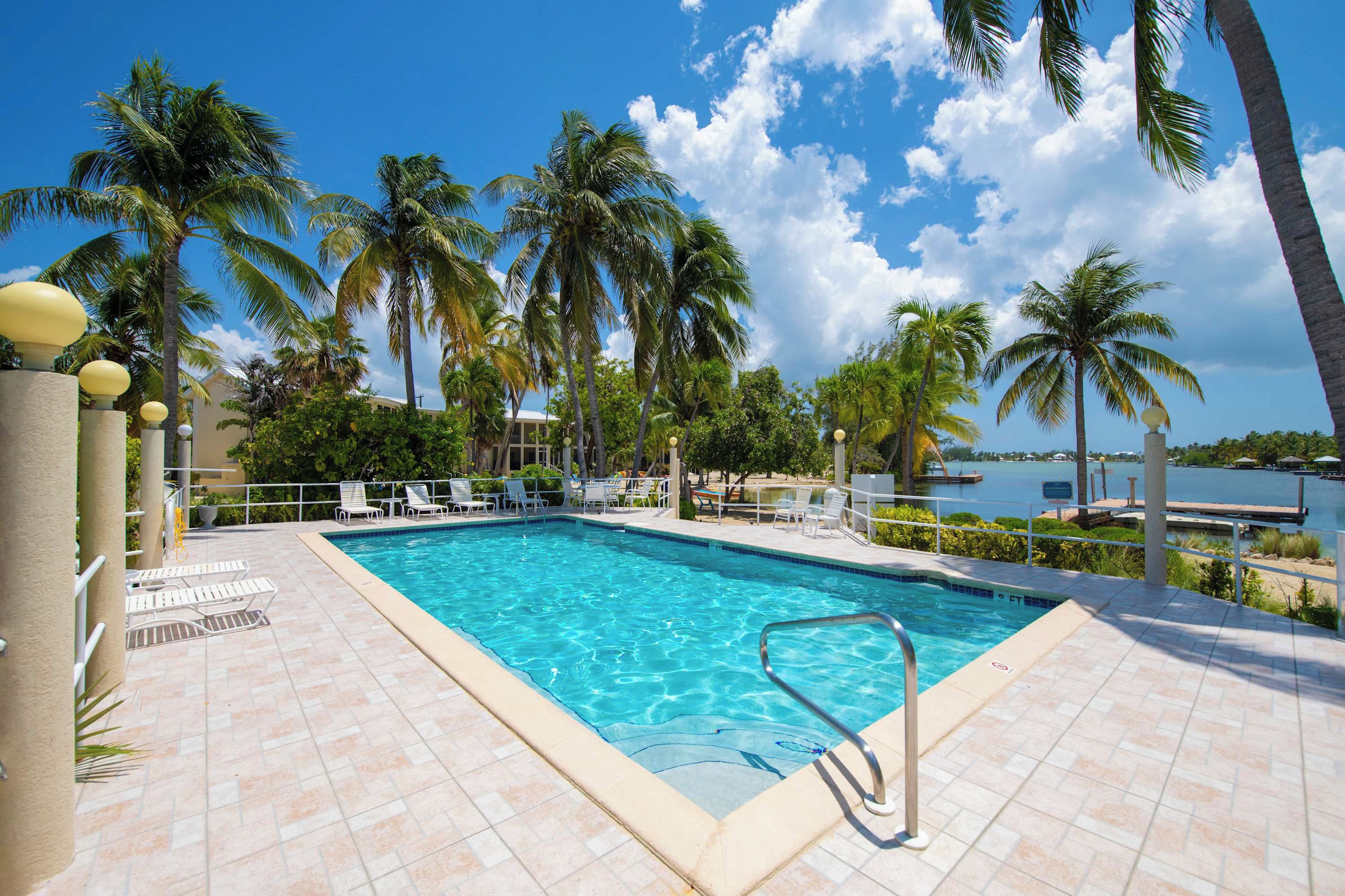 A swimming pool with clear blue water, surrounded by palm trees and lounge chairs, with a view of a body of water.