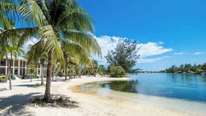 Ein Strand mit klarem, blauem Wasser, Palmen und einem Gebäude mit großen Fenstern.