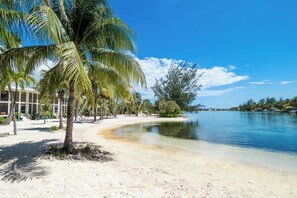 Una playa con agua azul cristalina, palmeras y un edificio con grandes ventanales.