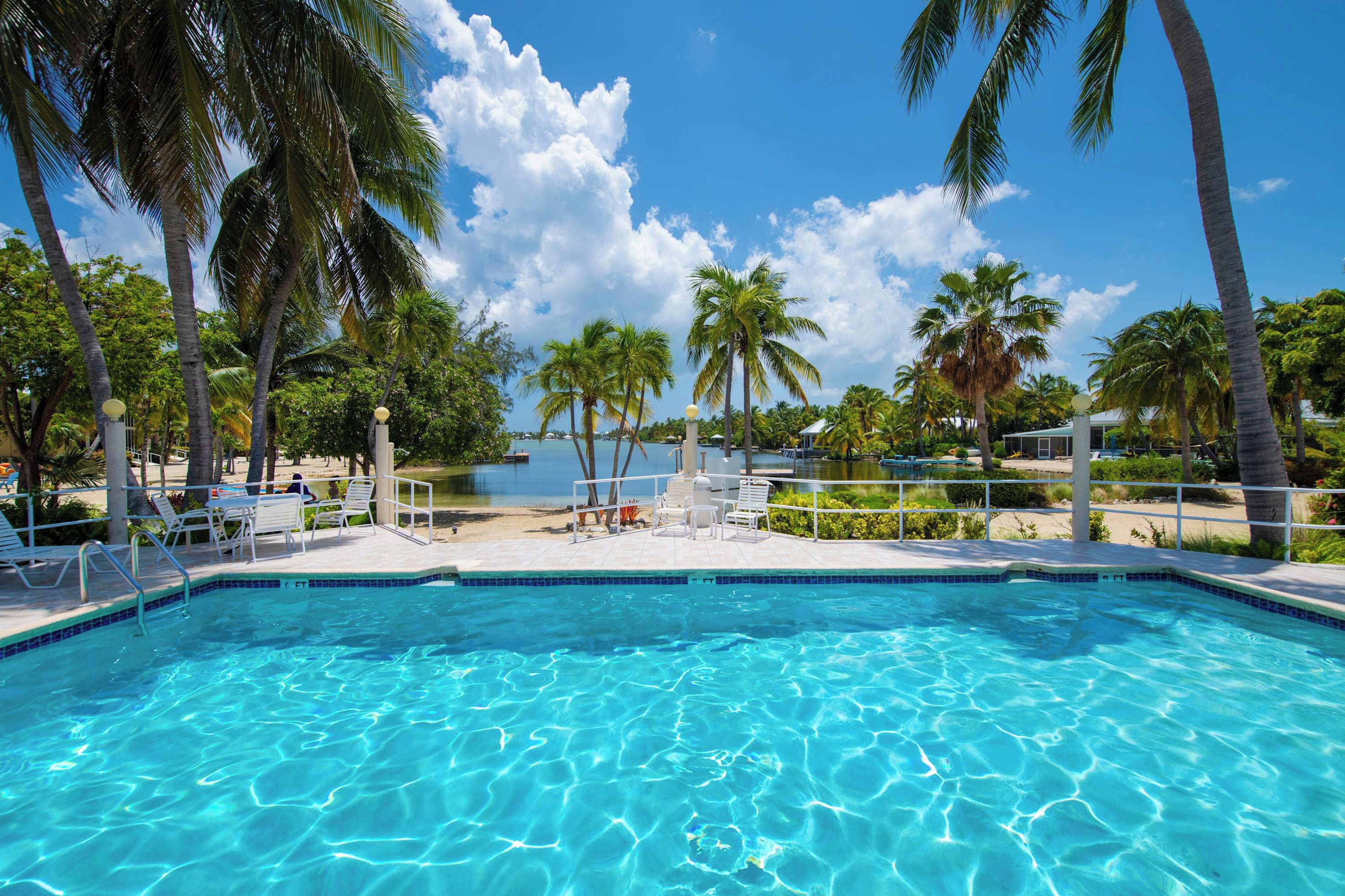 A clear blue pool with a view of a lake and palm trees.