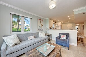 TV, DVD player, books, video library