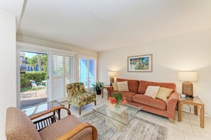 Televisión, reproductor de DVD, libros, videoteca