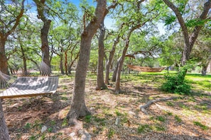 A hammock between trees in a wooded area with a picnic table in the background. - Rim Rock I Blanco, Log Cabin , Pool, Hot Tub, 10 acres of Nature to Explore (Blanco)
