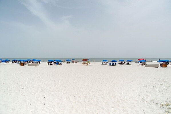 A beach with rows of blue umbrellas and beach chairs.