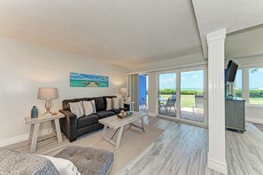 Flat-screen TV, DVD player, books, video library
