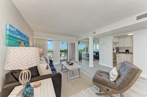 Flat-screen TV, DVD player, books, video library