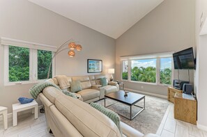 Télévision, lecteur de DVD, vidéothèque