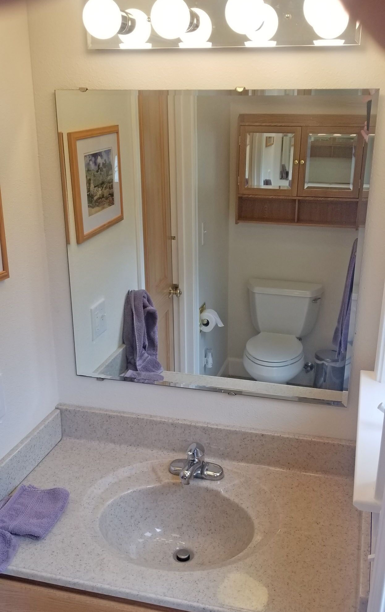 A bathroom with a sink, mirror, and toilet.