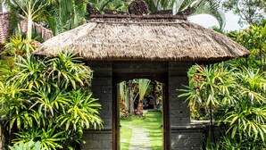 A thatched-roof structure with a stone pathway leading to it, surrounded by lush tropical plants. - Bali's Finest, Luxurious Villa Tunjung with Private Pool&Staff in Unspoiled Bali (Seririt)