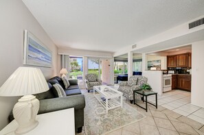 TV, DVD player, video library