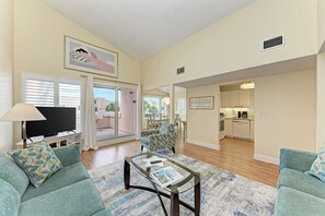 TV, DVD player, video library