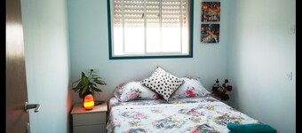 The small sakura garden