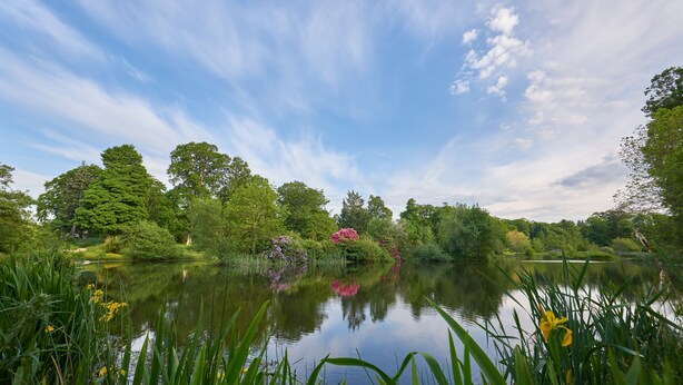 A serene lake surrounded by lush greenery and trees. - 2-bed Woodland Lodge with private hot tub and expansive views. (Forres)