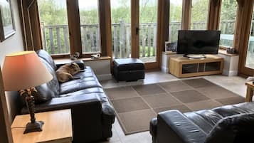 Smart TV, fireplace, video games, DVD player
