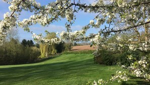Un'area verde curata con alberi in fiore e cielo sereno.