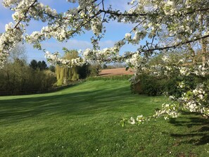 Property grounds - Spacious Country House near Stourport-on-Severn, Worcestershire, England (Stourport-on-Severn)