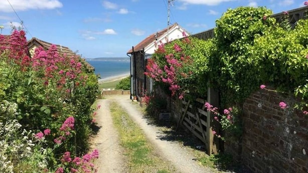 A narrow rural road flanked by houses with pink flowering plants. - Old Saltys Cottage in Westward Ho with stunning sea views (Northam)