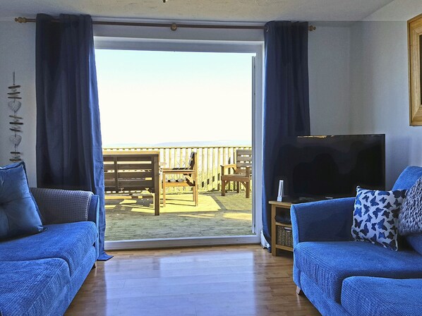 Smart TV, video games, DVD player, books