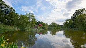 Un lac paisible, bordé d’une végétation luxuriante et d’arbres.