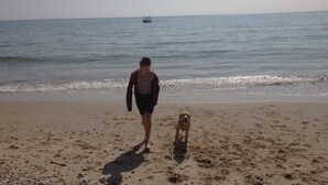 Une plage où une personne et un chien se promènent le long du rivage.