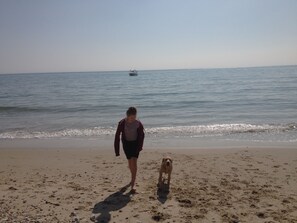 Beach - Purbeck cottage near Swanage & Studland - views of Corfe and I of Wight (Langton Matravers)