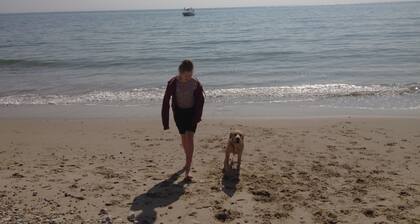 Chalet Purbeck prĂšs de Swanage & Studland - vues sur le chĂąteau de Corfe, chiens admis