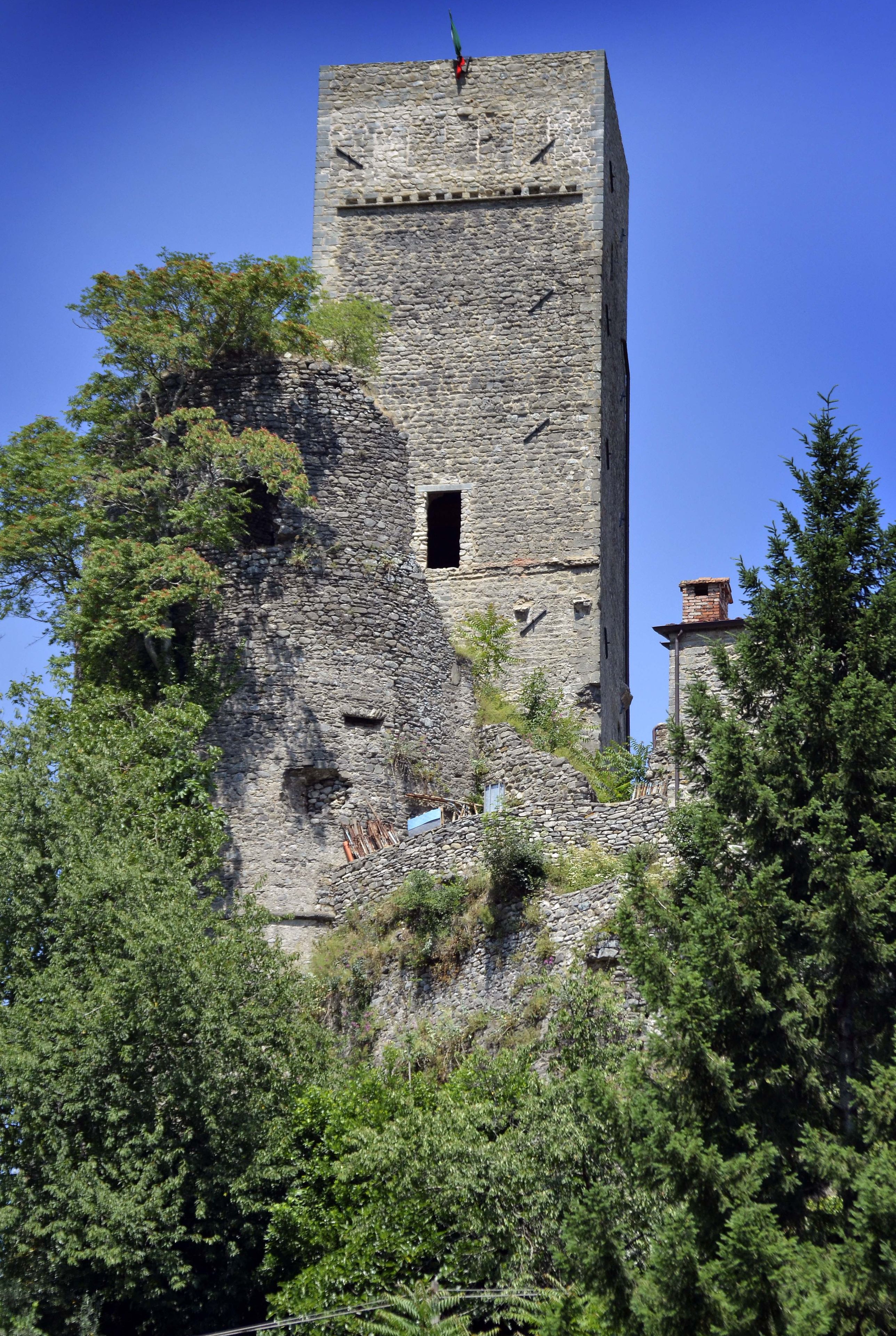 A tall, stone tower with a narrow window, surrounded by dense foliage.