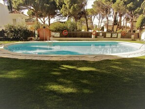 A swimming pool surrounded by a well-maintained lawn and trees, with a brick wall and no visible amenities. - Magnificent apartment in L'Escala  in a beautiful residence  swimming pool (L'Escala)