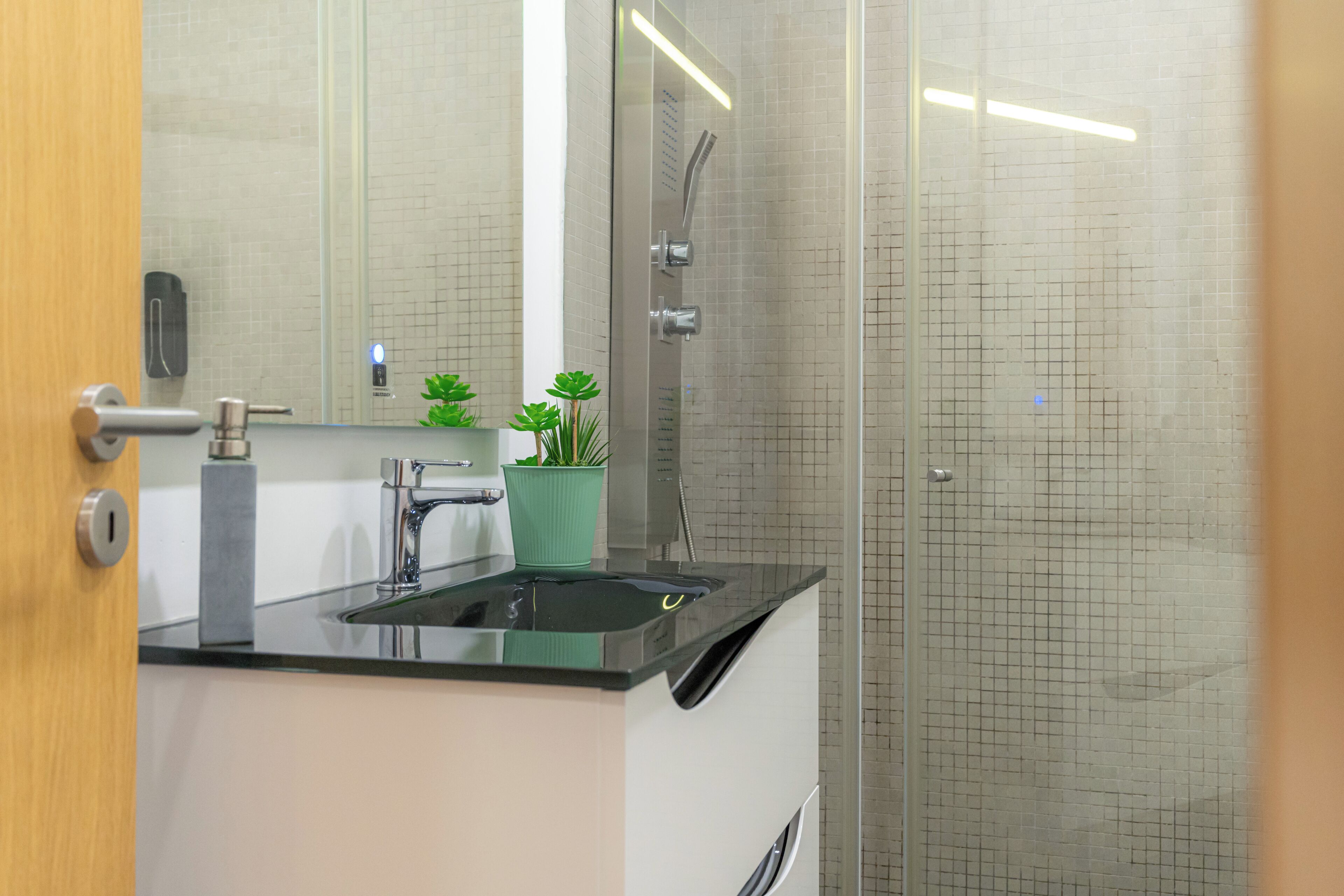 Shower, hair dryer, bidet, towels