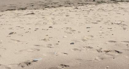 Hermoso apartamento de dos habitaciones con piscina