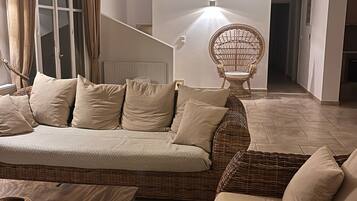 TV connectée, cheminée, lecteur de DVD, livres