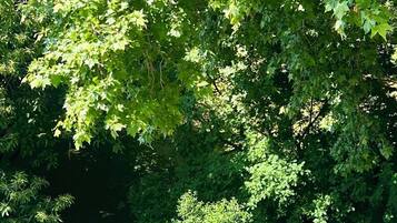 Overnatningsstedets område