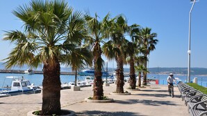 A coastal promenade with palm trees, a cyclist, and boats in the background.