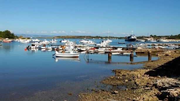 A marina with various boats docked, calm water, and a clear sky.